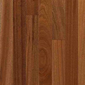 Sapele 1